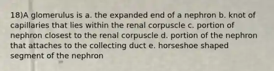 18)A glomerulus is a. the expanded end of a nephron b. knot of capillaries that lies within the renal corpuscle c. portion of nephron closest to the renal corpuscle d. portion of the nephron that attaches to the collecting duct e. horseshoe shaped segment of the nephron