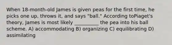 When 18-month-old James is given peas for the first time, he picks one up, throws it, and says "ball." According toPiaget's theory, James is most likely __________ the pea into his ball scheme. A) accommodating B) organizing C) equilibrating D) assimilating