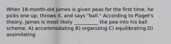 When 18-month-old James is given peas for the first time, he picks one up, throws it, and says "ball." According to Piaget's theory, James is most likely __________ the pea into his ball scheme. A) accommodating B) organizing C) equilibrating D) assimilating