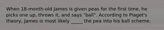 When 18-month-old James is given peas for the first time, he picks one up, throws it, and says "ball". According to Piaget's theory, James is most likely _____ the pea into his ball scheme.