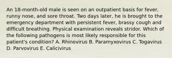 An 18-month-old male is seen on an outpatient basis for fever, runny nose, and sore throat. Two days later, he is brought to the emergency department with persistent fever, brassy cough and difficult breathing. Physical examination reveals stridor. Which of the following pathogens is most likely responsible for this patient's condition? A. Rhinovirus B. Paramyxovirus C. Togavirus D. Parvovirus E. Calicivirus