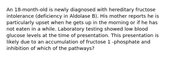 An 18-month-old is newly diagnosed with hereditary fructose intolerance (deficiency in Aldolase B). His mother reports he is particularly upset when he gets up in the morning or if he has not eaten in a while. Laboratory testing showed low blood glucose levels at the time of presentation. This presentation is likely due to an accumulation of fructose 1 -phosphate and inhibition of which of the pathways?