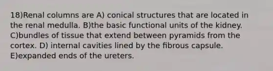 18)Renal columns are A) conical structures that are located in the renal medulla. B)the basic functional units of the kidney. C)bundles of tissue that extend between pyramids from the cortex. D) internal cavities lined by the ﬁbrous capsule. E)expanded ends of the ureters.