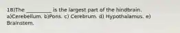 18)The __________ is the largest part of the hindbrain. a)Cerebellum. b)Pons. c) Cerebrum. d) Hypothalamus. e) Brainstem.