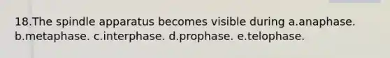 18.The spindle apparatus becomes visible during a.anaphase. b.metaphase. c.interphase. d.prophase. e.telophase.