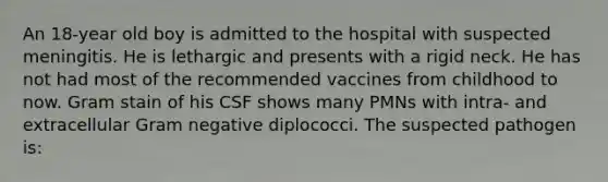 An 18-year old boy is admitted to the hospital with suspected meningitis. He is lethargic and presents with a rigid neck. He has not had most of the recommended vaccines from childhood to now. Gram stain of his CSF shows many PMNs with intra- and extracellular Gram negative diplococci. The suspected pathogen is: