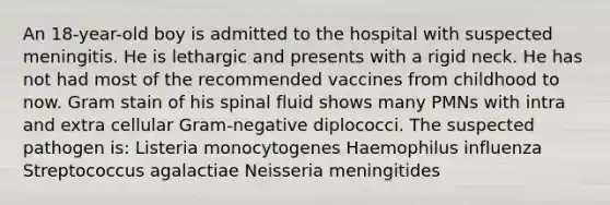 An 18-year-old boy is admitted to the hospital with suspected meningitis. He is lethargic and presents with a rigid neck. He has not had most of the recommended vaccines from childhood to now. Gram stain of his spinal fluid shows many PMNs with intra and extra cellular Gram-negative diplococci. The suspected pathogen is: Listeria monocytogenes Haemophilus influenza Streptococcus agalactiae Neisseria meningitides