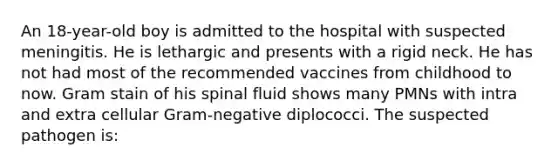 An 18-year-old boy is admitted to the hospital with suspected meningitis. He is lethargic and presents with a rigid neck. He has not had most of the recommended vaccines from childhood to now. Gram stain of his spinal fluid shows many PMNs with intra and extra cellular Gram-negative diplococci. The suspected pathogen is: