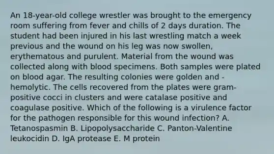 An 18-year-old college wrestler was brought to the emergency room suffering from fever and chills of 2 days duration. The student had been injured in his last wrestling match a week previous and the wound on his leg was now swollen, erythematous and purulent. Material from the wound was collected along with blood specimens. Both samples were plated on blood agar. The resulting colonies were golden and -hemolytic. The cells recovered from the plates were gram-positive cocci in clusters and were catalase positive and coagulase positive. Which of the following is a virulence factor for the pathogen responsible for this wound infection? A. Tetanospasmin B. Lipopolysaccharide C. Panton-Valentine leukocidin D. IgA protease E. M protein