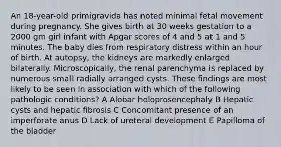 An 18-year-old primigravida has noted minimal fetal movement during pregnancy. She gives birth at 30 weeks gestation to a 2000 gm girl infant with Apgar scores of 4 and 5 at 1 and 5 minutes. The baby dies from respiratory distress within an hour of birth. At autopsy, the kidneys are markedly enlarged bilaterally. Microscopically, the renal parenchyma is replaced by numerous small radially arranged cysts. These findings are most likely to be seen in association with which of the following pathologic conditions? A Alobar holoprosencephaly B Hepatic cysts and hepatic fibrosis C Concomitant presence of an imperforate anus D Lack of ureteral development E Papilloma of the bladder