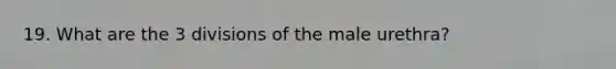 19. What are the 3 divisions of the male urethra?