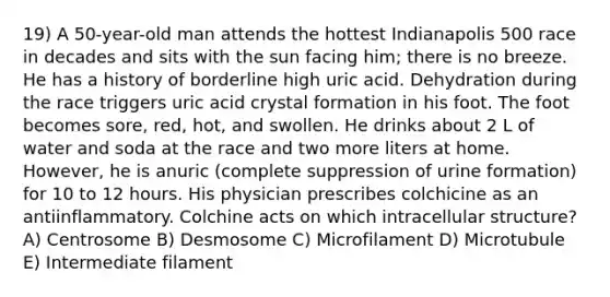 19) A 50-year-old man attends the hottest Indianapolis 500 race in decades and sits with the sun facing him; there is no breeze. He has a history of borderline high uric acid. Dehydration during the race triggers uric acid crystal formation in his foot. The foot becomes sore, red, hot, and swollen. He drinks about 2 L of water and soda at the race and two more liters at home. However, he is anuric (complete suppression of urine formation) for 10 to 12 hours. His physician prescribes colchicine as an antiinflammatory. Colchine acts on which intracellular structure? A) Centrosome B) Desmosome C) Microfilament D) Microtubule E) Intermediate filament