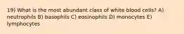 19) What is the most abundant class of white blood cells? A) neutrophils B) basophils C) eosinophils D) monocytes E) lymphocytes