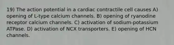 19) The action potential in a cardiac contractile cell causes A) opening of L-type calcium channels. B) opening of ryanodine receptor calcium channels. C) activation of sodium-potassium ATPase. D) activation of NCX transporters. E) opening of HCN channels.