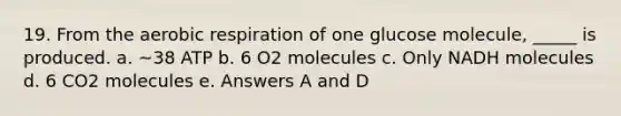 19. From the aerobic respiration of one glucose molecule, _____ is produced. a. ~38 ATP b. 6 O2 molecules c. Only NADH molecules d. 6 CO2 molecules e. Answers A and D