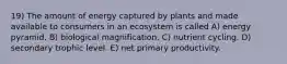 19) The amount of energy captured by plants and made available to consumers in an ecosystem is called A) energy pyramid. B) biological magnification. C) nutrient cycling. D) secondary trophic level. E) net primary productivity.