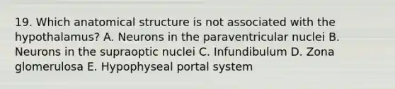 19. Which anatomical structure is not associated with the hypothalamus? A. Neurons in the paraventricular nuclei B. Neurons in the supraoptic nuclei C. Infundibulum D. Zona glomerulosa E. Hypophyseal portal system