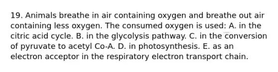 19. Animals breathe in air containing oxygen and breathe out air containing less oxygen. The consumed oxygen is used: A. in the citric acid cycle. B. in the glycolysis pathway. C. in the conversion of pyruvate to acetyl Co-A. D. in photosynthesis. E. as an electron acceptor in the respiratory electron transport chain.