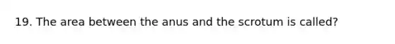 19. The area between the anus and the scrotum is called?