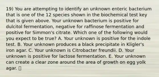 19) You are attempting to identify an unknown enteric bacterium that is one of the 12 species shown in the biochemical test key that is given above. Your unknown bacterium is positive for dulcitol fermentation, negative for raffinose fermentation and positive for Simmon's citrate. Which one of the following would you expect to be true? A. Your unknown is positive for the indole test. B. Your unknown produces a black precipitate in Kligler's iron agar. C. Your unknown is Citrobacter freundii. D. Your unknown is positive for lactose fermentation. E. Your unknown can create a clear zone around the area of growth on egg yolk agar.