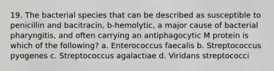 19. The bacterial species that can be described as susceptible to penicillin and bacitracin, b-hemolytic, a major cause of bacterial pharyngitis, and often carrying an antiphagocytic M protein is which of the following? a. Enterococcus faecalis b. Streptococcus pyogenes c. Streptococcus agalactiae d. Viridans streptococci