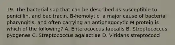 19. The bacterial spp that can be described as susceptible to penicillin, and bacitracin, B-hemolytic, a major cause of bacterial pharyngitis, and often carrying an antiphagocytic M protein is which of the following? A. Enterococcus faecalis B. Streptococcus pyogenes C. Streptococcus agalactiae D. Viridans streptococci