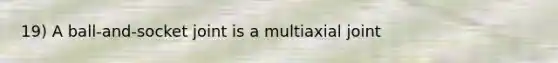 19) A ball-and-socket joint is a multiaxial joint