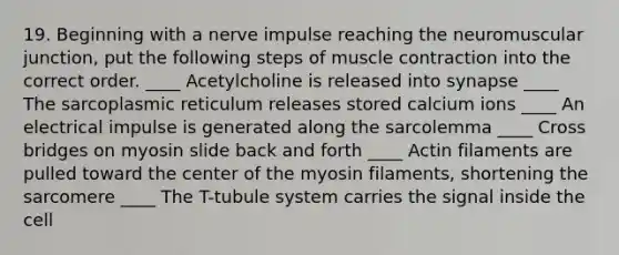 19. Beginning with a nerve impulse reaching the neuromuscular junction, put the following steps of muscle contraction into the correct order. ____ Acetylcholine is released into synapse ____ The sarcoplasmic reticulum releases stored calcium ions ____ An electrical impulse is generated along the sarcolemma ____ Cross bridges on myosin slide back and forth ____ Actin filaments are pulled toward the center of the myosin filaments, shortening the sarcomere ____ The T-tubule system carries the signal inside the cell