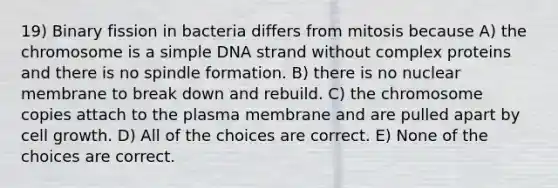 19) Binary fission in bacteria differs from mitosis because A) the chromosome is a simple DNA strand without complex proteins and there is no spindle formation. B) there is no nuclear membrane to break down and rebuild. C) the chromosome copies attach to the plasma membrane and are pulled apart by cell growth. D) All of the choices are correct. E) None of the choices are correct.