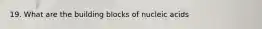 19. What are the building blocks of nucleic acids