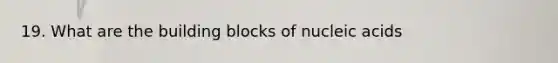 19. What are the building blocks of nucleic acids