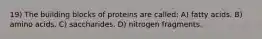 19) The building blocks of proteins are called: A) fatty acids. B) amino acids. C) saccharides. D) nitrogen fragments.