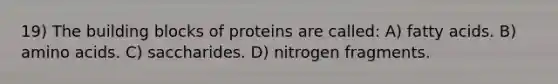 19) The building blocks of proteins are called: A) fatty acids. B) amino acids. C) saccharides. D) nitrogen fragments.