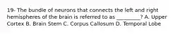 19- The bundle of neurons that connects the left and right hemispheres of the brain is referred to as _________? A. Upper Cortex B. Brain Stem C. Corpus Callosum D. Temporal Lobe