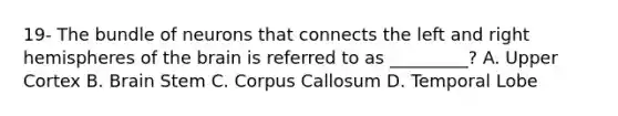19- The bundle of neurons that connects the left and right hemispheres of the brain is referred to as _________? A. Upper Cortex B. Brain Stem C. Corpus Callosum D. Temporal Lobe
