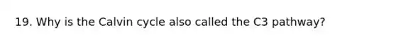 19. Why is the Calvin cycle also called the C3 pathway?
