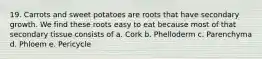 19. Carrots and sweet potatoes are roots that have secondary growth. We find these roots easy to eat because most of that secondary tissue consists of a. Cork b. Phelloderm c. Parenchyma d. Phloem e. Pericycle