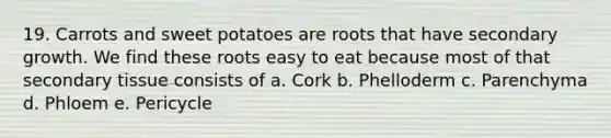 19. Carrots and sweet potatoes are roots that have secondary growth. We find these roots easy to eat because most of that secondary tissue consists of a. Cork b. Phelloderm c. Parenchyma d. Phloem e. Pericycle