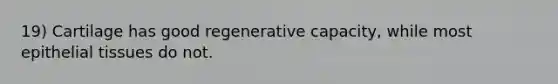 19) Cartilage has good regenerative capacity, while most epithelial tissues do not.