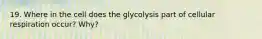 19. Where in the cell does the glycolysis part of cellular respiration occur? Why?