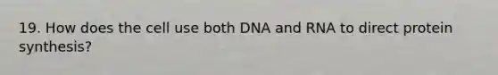 19. How does the cell use both DNA and RNA to direct protein synthesis?