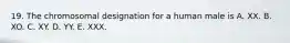 19. The chromosomal designation for a human male is A. XX. B. XO. C. XY. D. YY. E. XXX.