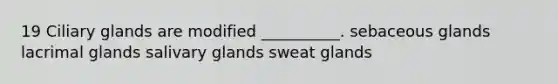 19 Ciliary glands are modified __________. sebaceous glands lacrimal glands salivary glands sweat glands