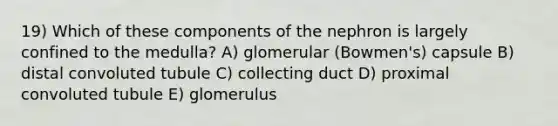 19) Which of these components of the nephron is largely confined to the medulla? A) glomerular (Bowmen's) capsule B) distal convoluted tubule C) collecting duct D) proximal convoluted tubule E) glomerulus