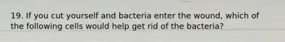 19. If you cut yourself and bacteria enter the wound, which of the following cells would help get rid of the bacteria?