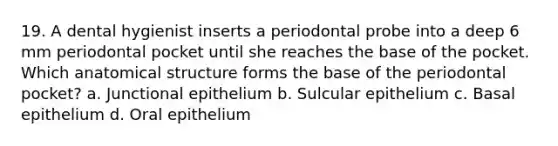 19. A dental hygienist inserts a periodontal probe into a deep 6 mm periodontal pocket until she reaches the base of the pocket. Which anatomical structure forms the base of the periodontal pocket? a. Junctional epithelium b. Sulcular epithelium c. Basal epithelium d. Oral epithelium