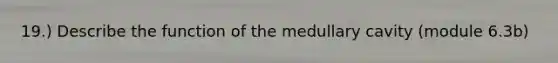 19.) Describe the function of the medullary cavity (module 6.3b)