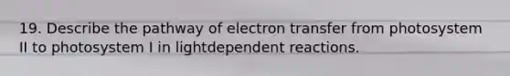 19. Describe the pathway of electron transfer from photosystem II to photosystem I in lightdependent reactions.