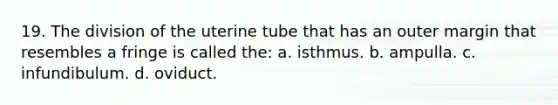 19. The division of the uterine tube that has an outer margin that resembles a fringe is called the: a. isthmus. b. ampulla. c. infundibulum. d. oviduct.