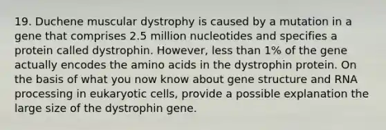 19. Duchene muscular dystrophy is caused by a mutation in a gene that comprises 2.5 million nucleotides and specifies a protein called dystrophin. However, less than 1% of the gene actually encodes the amino acids in the dystrophin protein. On the basis of what you now know about gene structure and RNA processing in eukaryotic cells, provide a possible explanation the large size of the dystrophin gene.